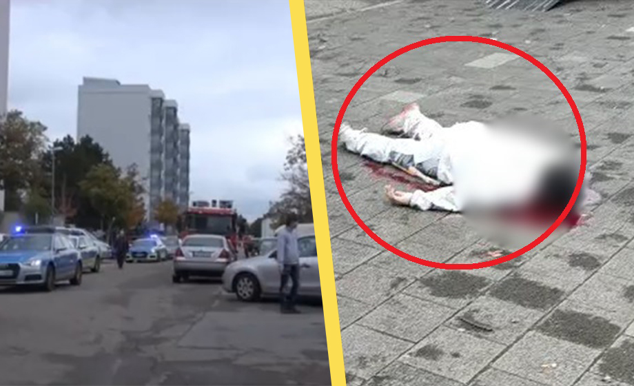 Journalist sågade Somalia efter somaliskt terrormord – sparkades