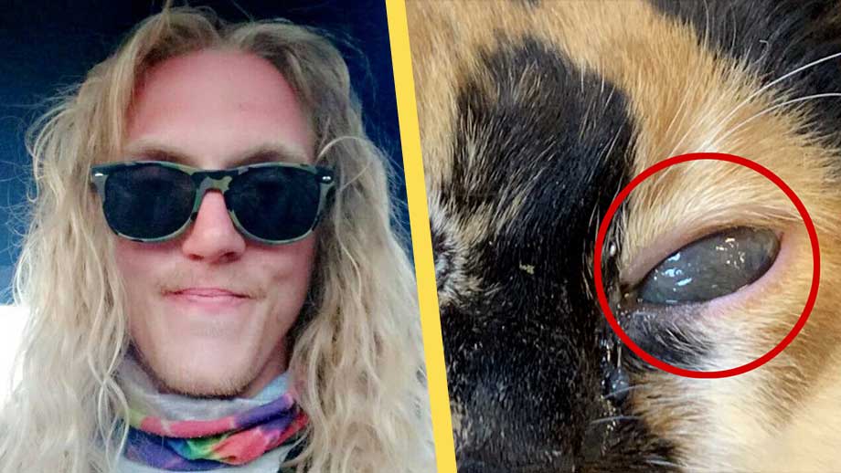 Alexander misshandlade sambon och slog ihjäl hennes katt