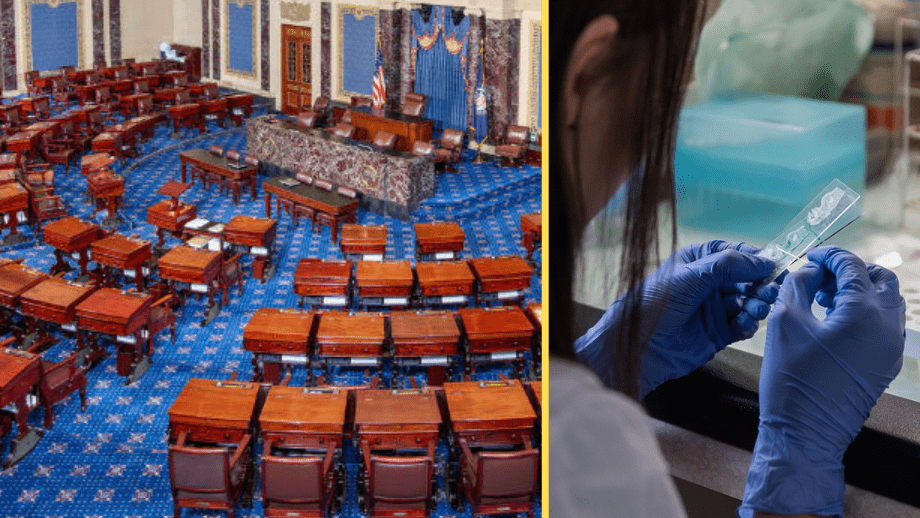 USA:s senat: Covidpandemin beror sannolikt på labbläckage