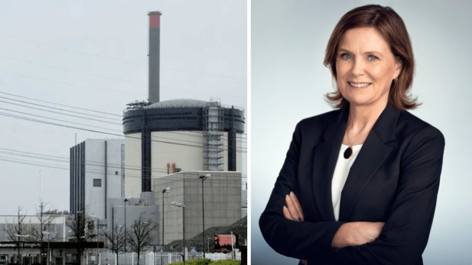 Svenska kraftnät bekräftar: Nedlagd kärnkraft orsak till elkrisen