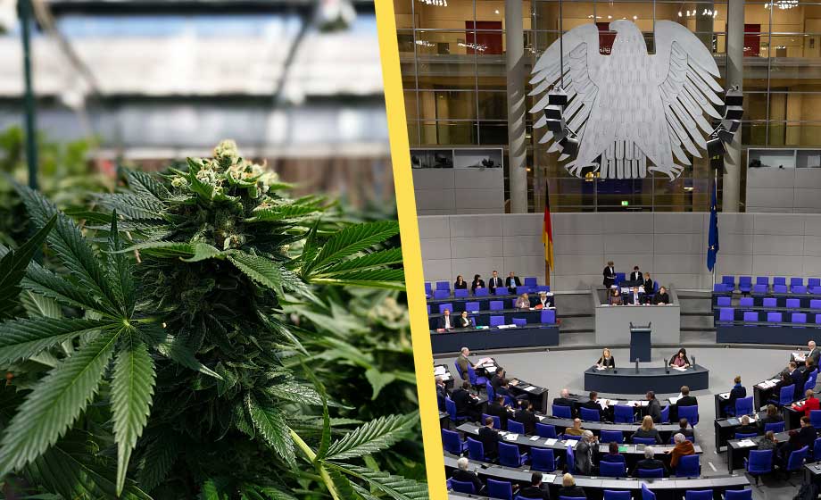 Här är Tysklands plan för att legalisera cannabis