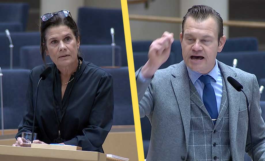VIDEO: Rödgrön ilska – Elsa Widding (SD) ifrågasätter klimatkrisen
