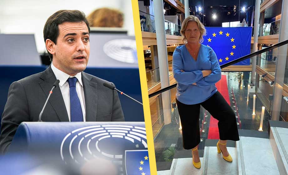 SD-stöd till regeringen kan få Liberalerna uteslutna ur EU-grupp