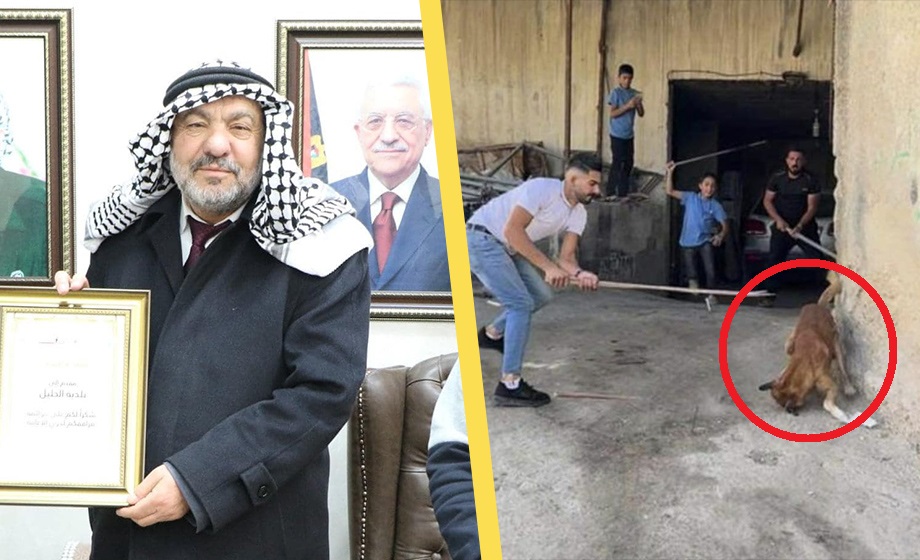 Palestinier plågar hundar till döds