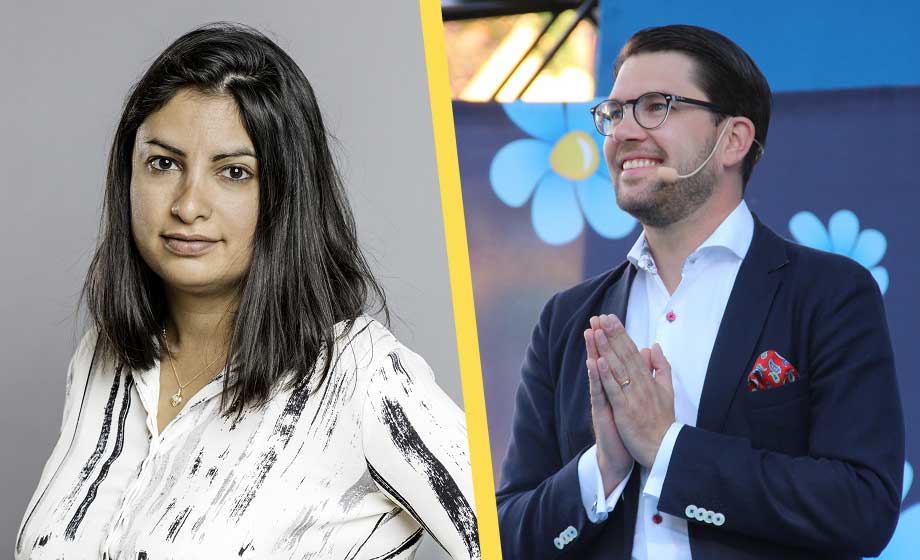 Politisk polarisering mellan könen påverkar dejtingmarknaden