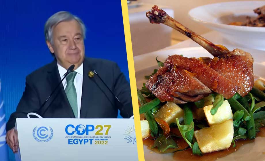 FN uppmanade att äta insekter – serverar kött på egna klimatkonferensen