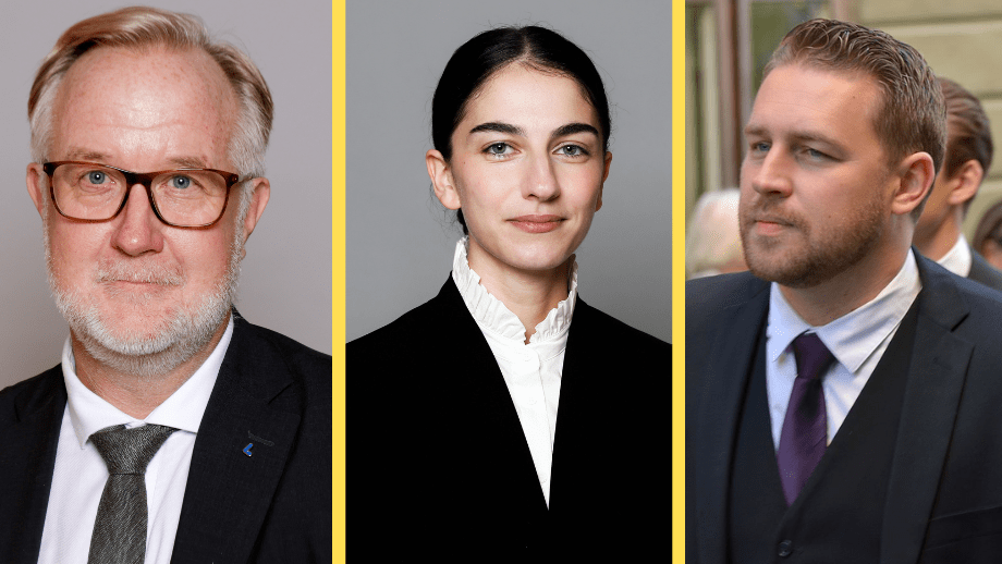 Johan Pehrson fortsätter attackera SD – är ”klimatförnekare”