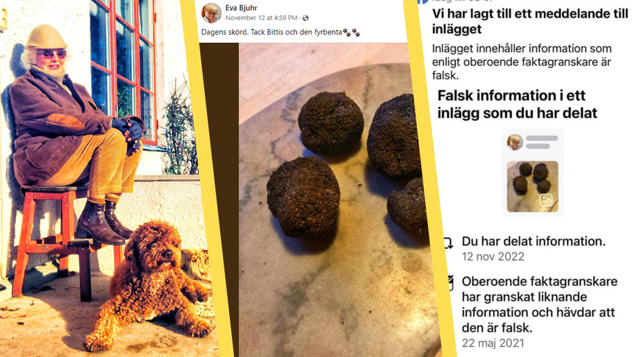Evas tryffelfynd stämplades som ”falsk information” av Facebook