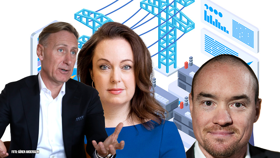 Ekeroth: ”Jo, politiken ska bestämma energimixen”