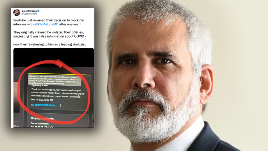 Youtube avblockerar intervju med vaccinkritisk forskare