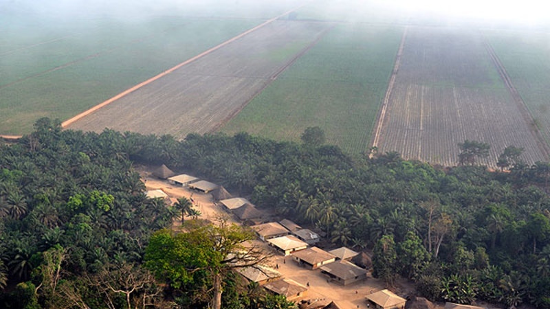 Forskare: ”Bioenergi är kontraproduktivt”