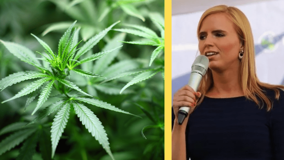 KD-topp svänger – vill legalisera cannabis