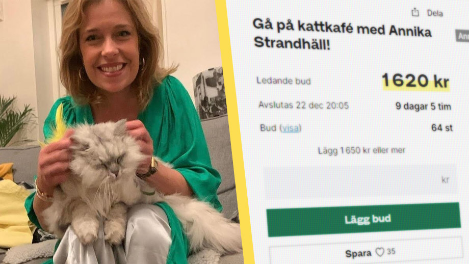 Annika Strandhäll auktionerar ut fikadejt på kattcafé