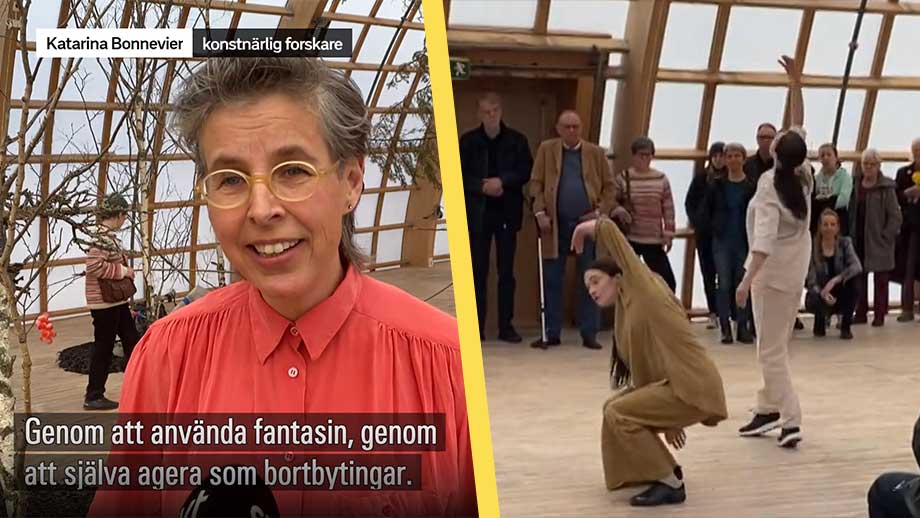 LISTA: Här är årets värsta skatteslöseri