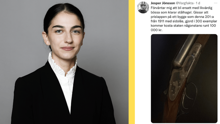 Miljöministern: ”Blyhagel ska förbjudas, fast det är väldigt nischat så skit i det”