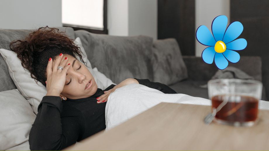 Regeringen backar om karensdag – efter SD:s krav