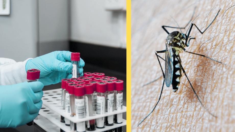 Kina experimenterar med att sprida vaccin genom myggor