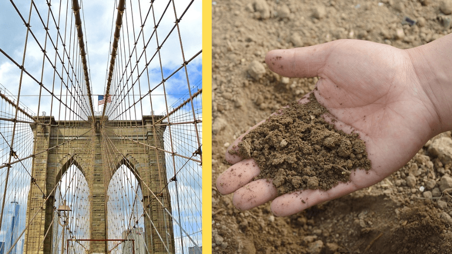 New York inför ”gröna” begravningar – företag ska kompostera människor