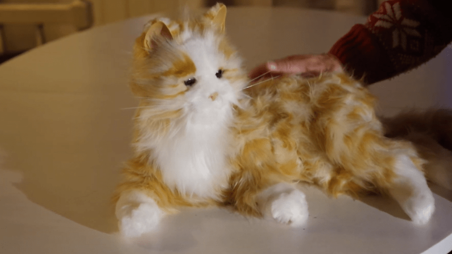 Välfärd: Robotkatter ska ge äldre sällskap