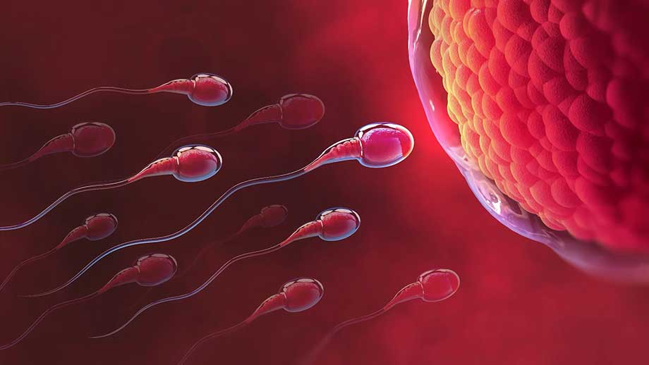 Spermiebrist hos män kan bli mänsklighetens undergång