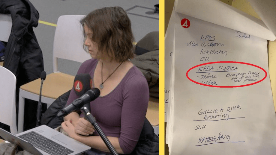 ”Ebba-Slebba”-reportern tillbaka – bevakar politik på TV4