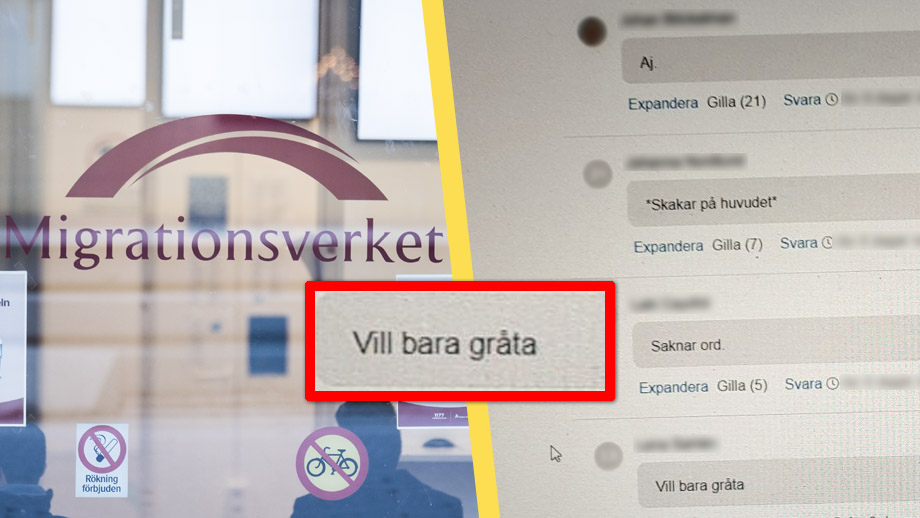 ”Vill bara gråta” – Tidöavtalet-reaktioner på Migrationsverket