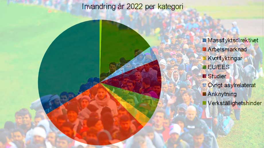 Hela statistiken över 2022 års rekordhöga invandring