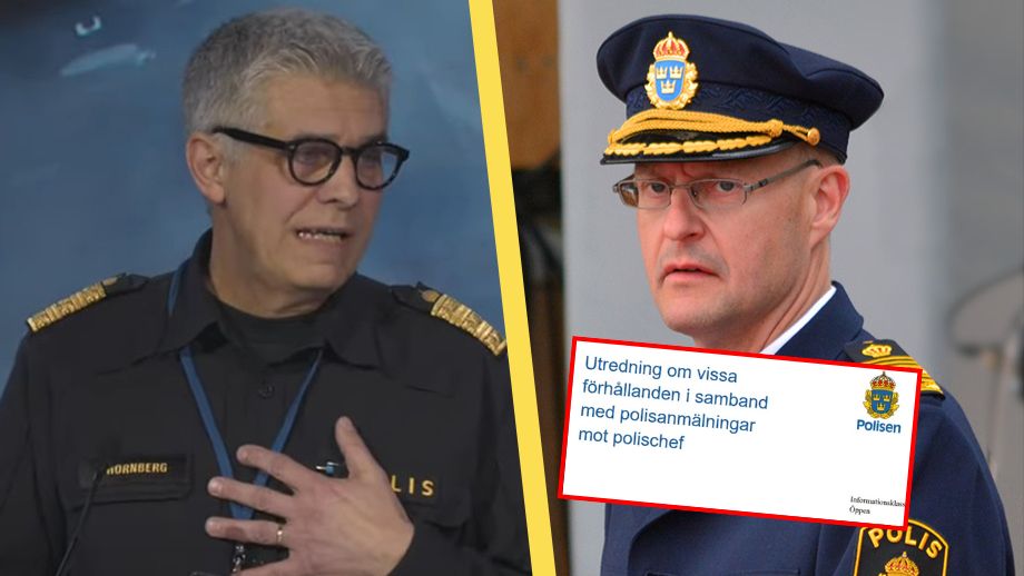 Här är polisens borttagna utredning om Löfving