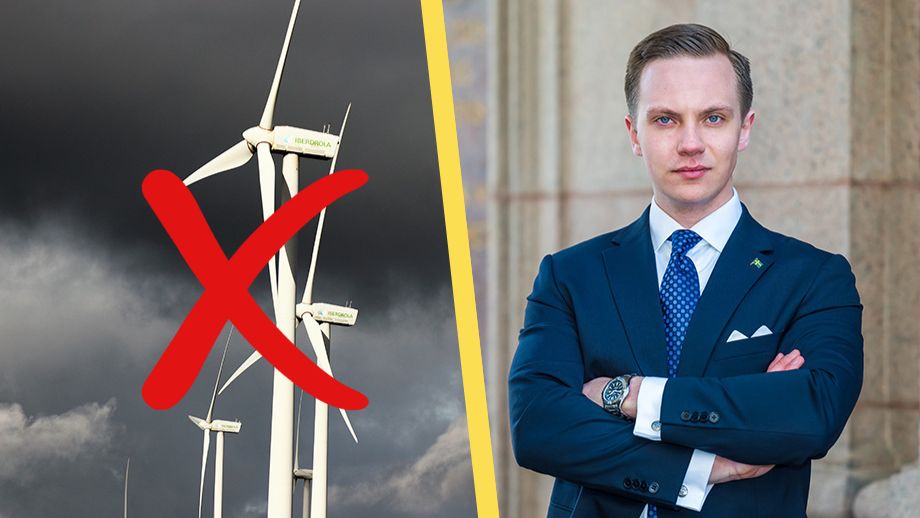 SD tar plats i styrgruppen för Vattenfall: ”Sluta agera vindkraftslobbyister”