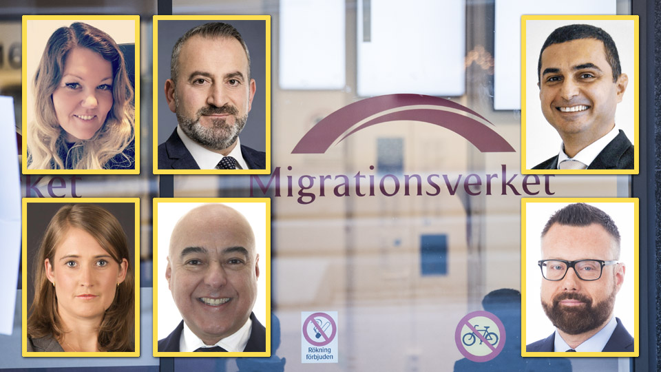 Advokaterna som tjänade över en miljon på migranter förra året