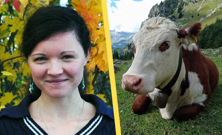 Svensk forskare: Störst kolförråd i jordbruksmarken på mjölkgårdar