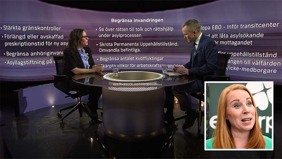 Malmer Stenergard (M): Migrationskaoset Annie Lööfs fel