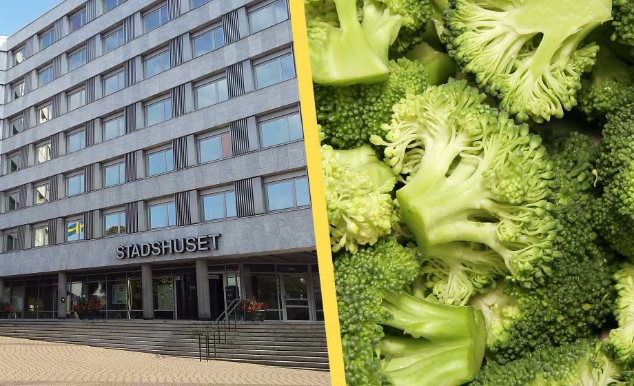 Kött kan BANNLYSAS från konferenser efter MP:s krav