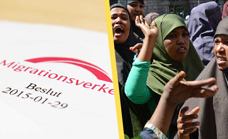 Migrationsverket granskad: ’Dysfunktionell myndighet’