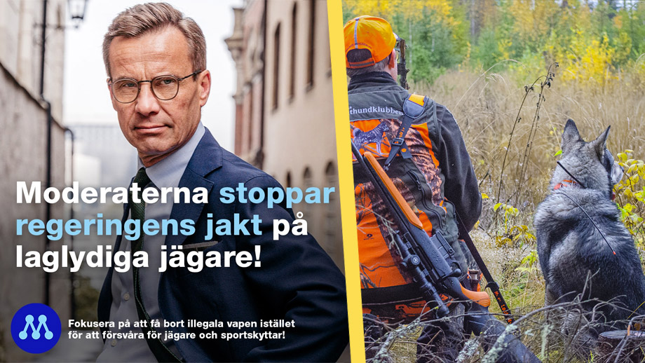 Regeringen reglerar vapenmagasin – trots vallöfte