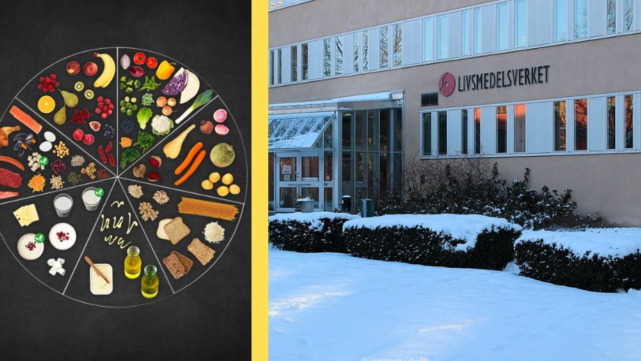 Artificiella produkter får mer plats i kostcirkeln – ska värna ”klimatet”