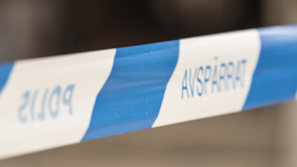 19-åring begärs häktad för mord på mor och storebror