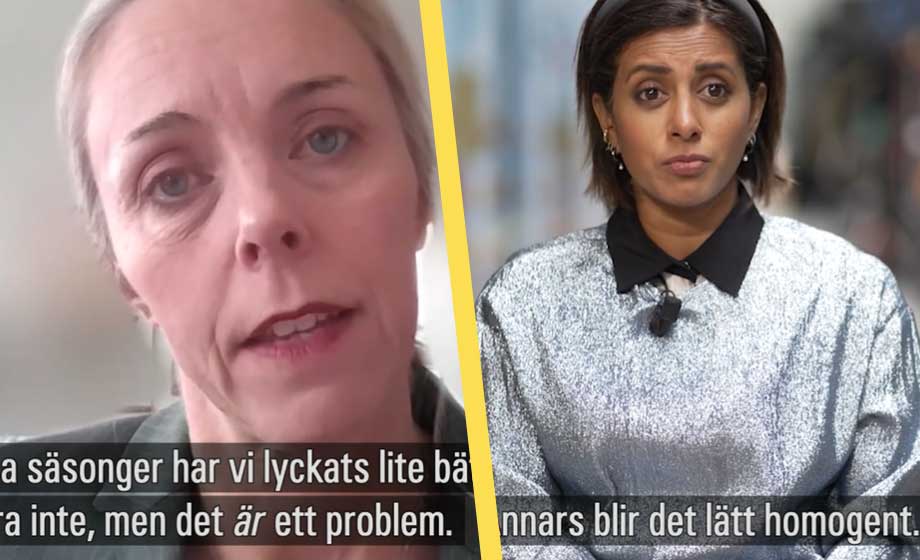SVT-program anklagas för att ha för många svenskar