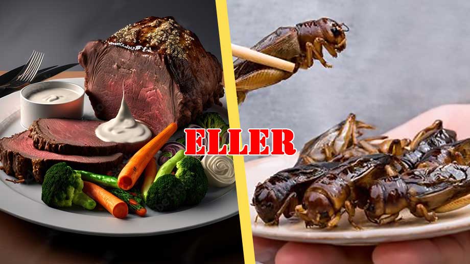 SR i attack mot regeringen – kräver minskad köttkonsumtion