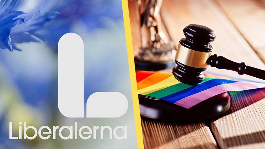 L-kravet i Tidö-regeringen: Runda SD i könsfrågan