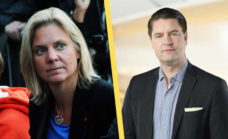 S-krav på att vindkraftskritisk sverigedemokrat läxas upp