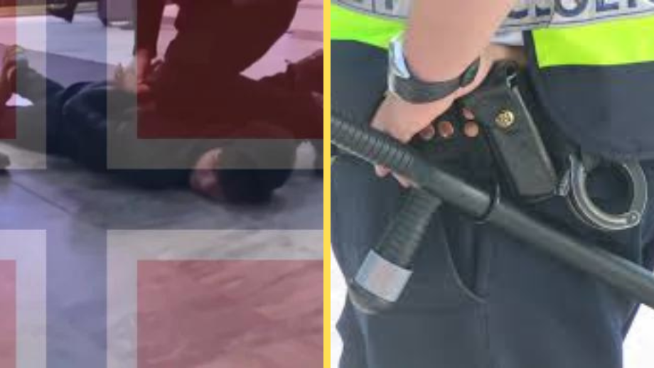 Man körde varubil in i folkmassa – en död och flera skadade