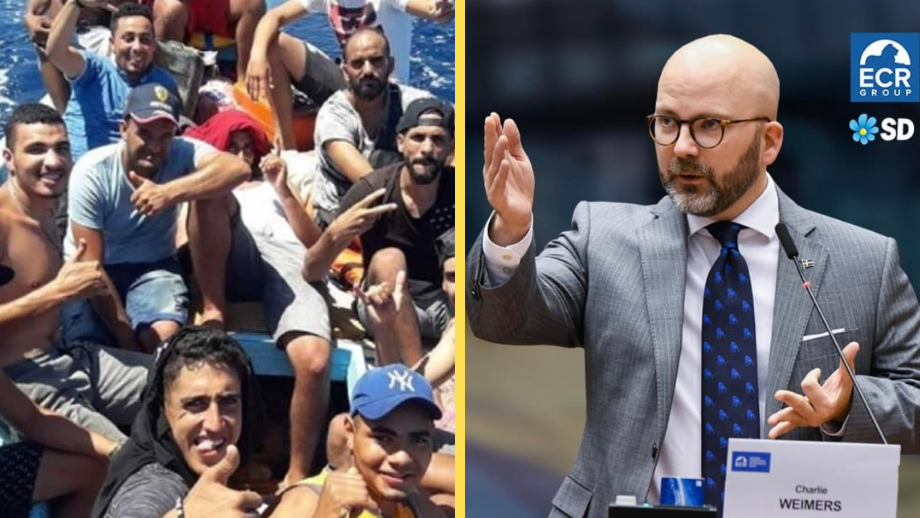 Röstkupp: SD tar strid mot EU:s migrationspakt