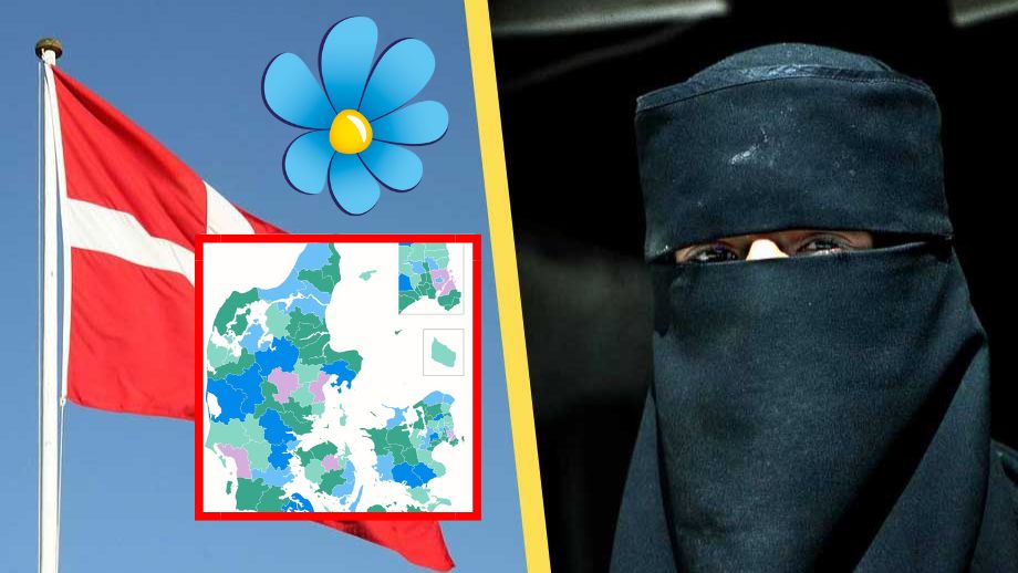 SD vill ha ’återvändandekarta’ enligt dansk modell
