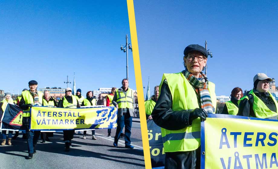 Klimatextremister i nya sabotage – med Gudrun Schyman