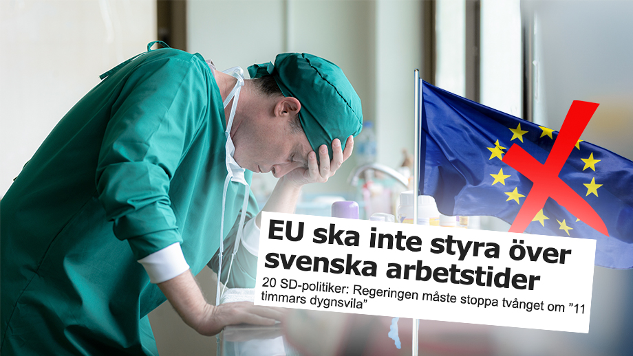 SD:are riktar stark kritik mot EU:s ”klåfingrighet”