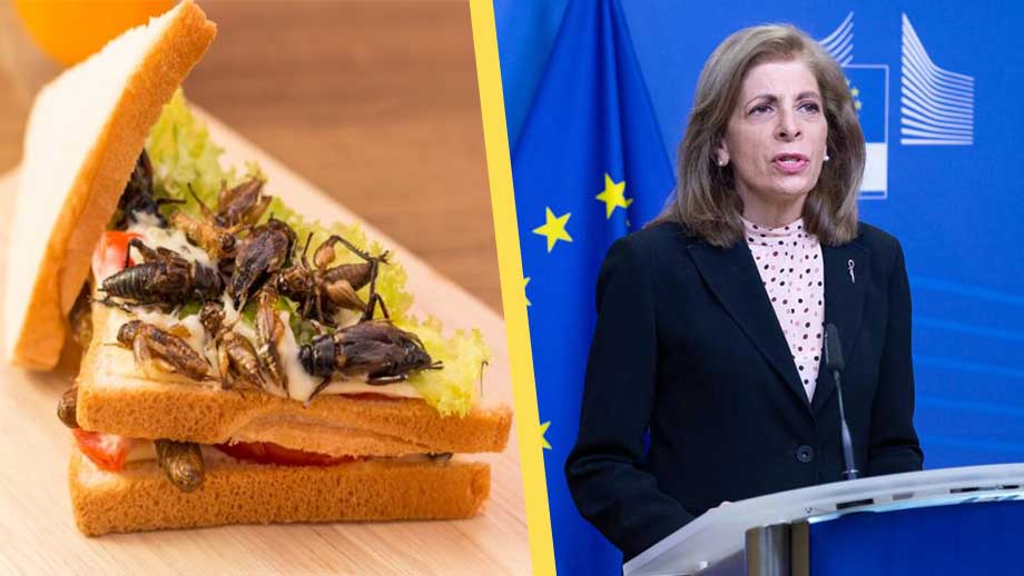 Tillverkare slipper berätta att livsmedel innehåller insekter