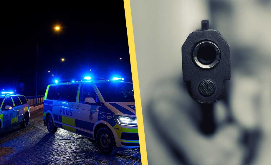 Varningen: Maffiavälde växer fram i Sverige