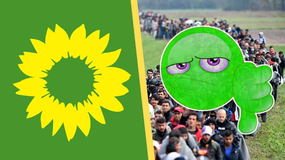 Undersökning: Majoritet gröna väljare skyller bostadskrisen på invandrarna