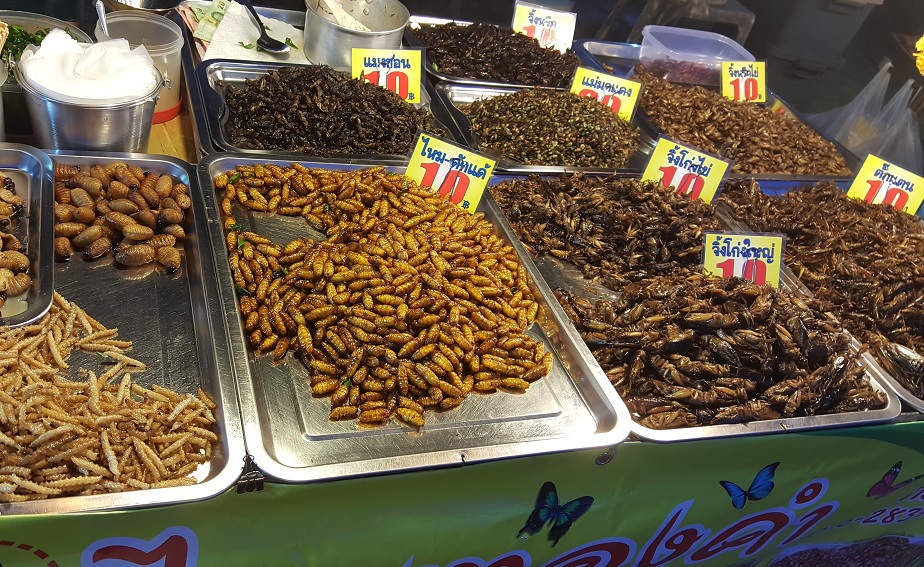 Kampanj ska få unga att äta mer insekter